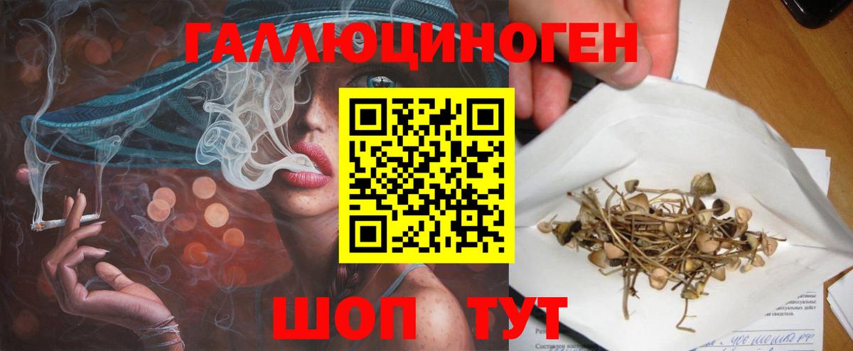 Псилоцибиновые грибы MAGIC MUSHROOMS  Вход с VPN  Саяногорск  Псилоцибиновые грибы прущие грибы 