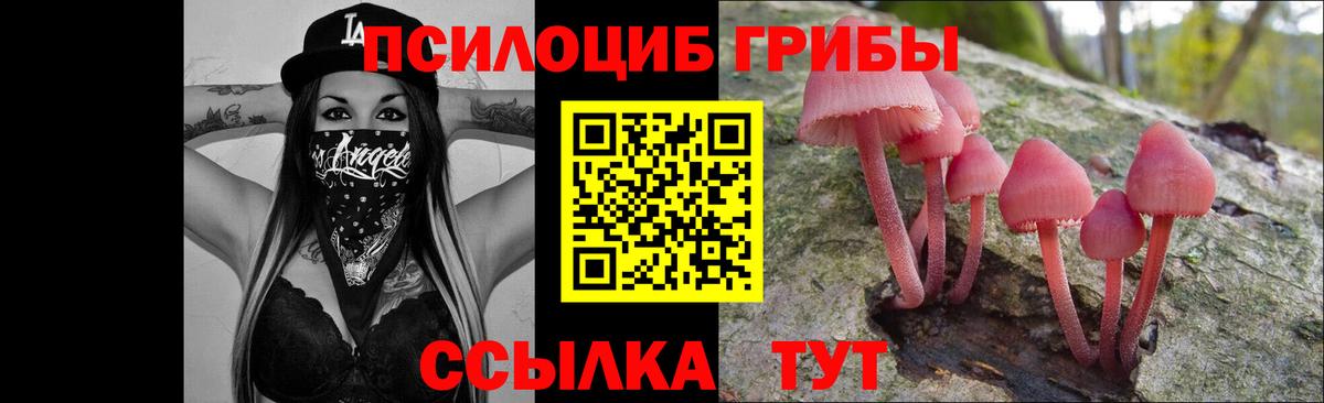 Галлюциногенные грибы Magic Shrooms Саяногорск
